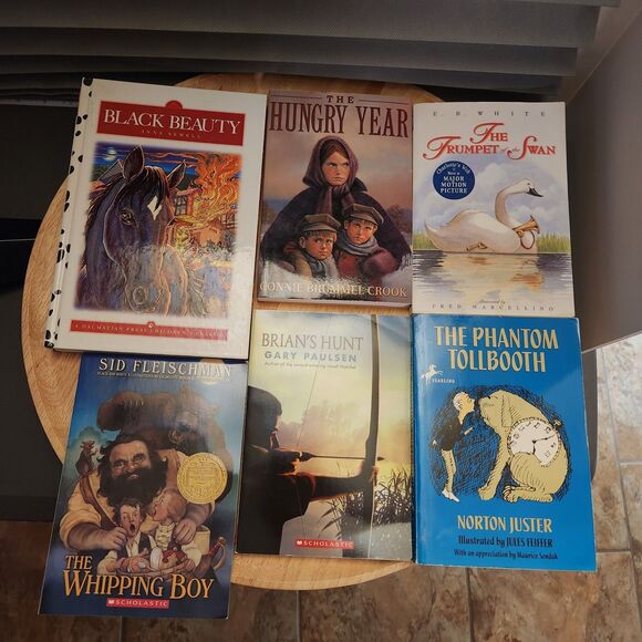 Kids Junior Book Lot of 6 | Classic Chapter Books Bundle - Picture 1 of 7